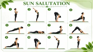 Surya Namaskar yoga poses step by step with 12 numbered Sun Salutation positions on white and green background